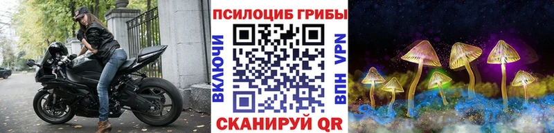 Галлюциногенные грибы Cubensis  наркота  Лыткарино 
